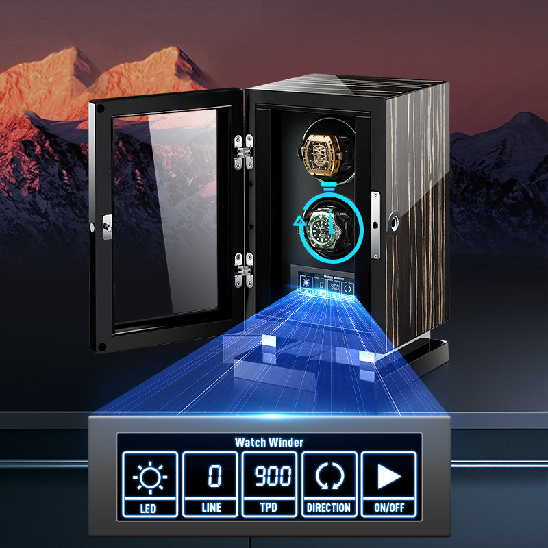 Eonluxe Mechanischer Automatis – Luxury Watch Safe Bewertung und Preis